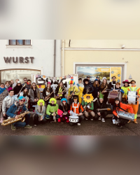 Faschingsumzug durch die Kremser Innenstadt